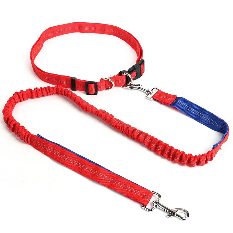 Flexi-Leash