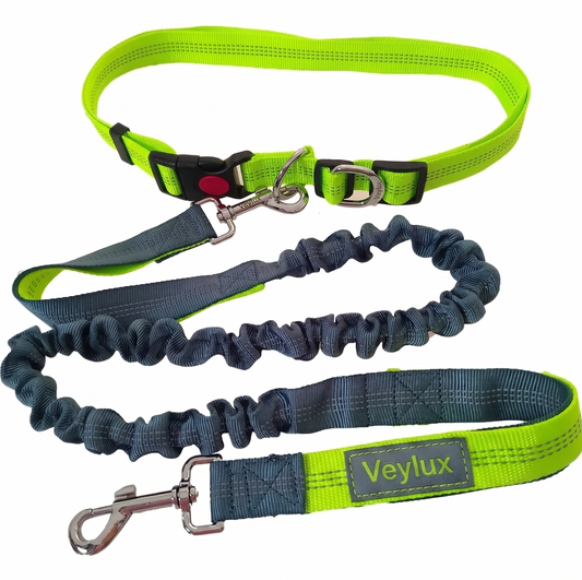 Flexi-Leash