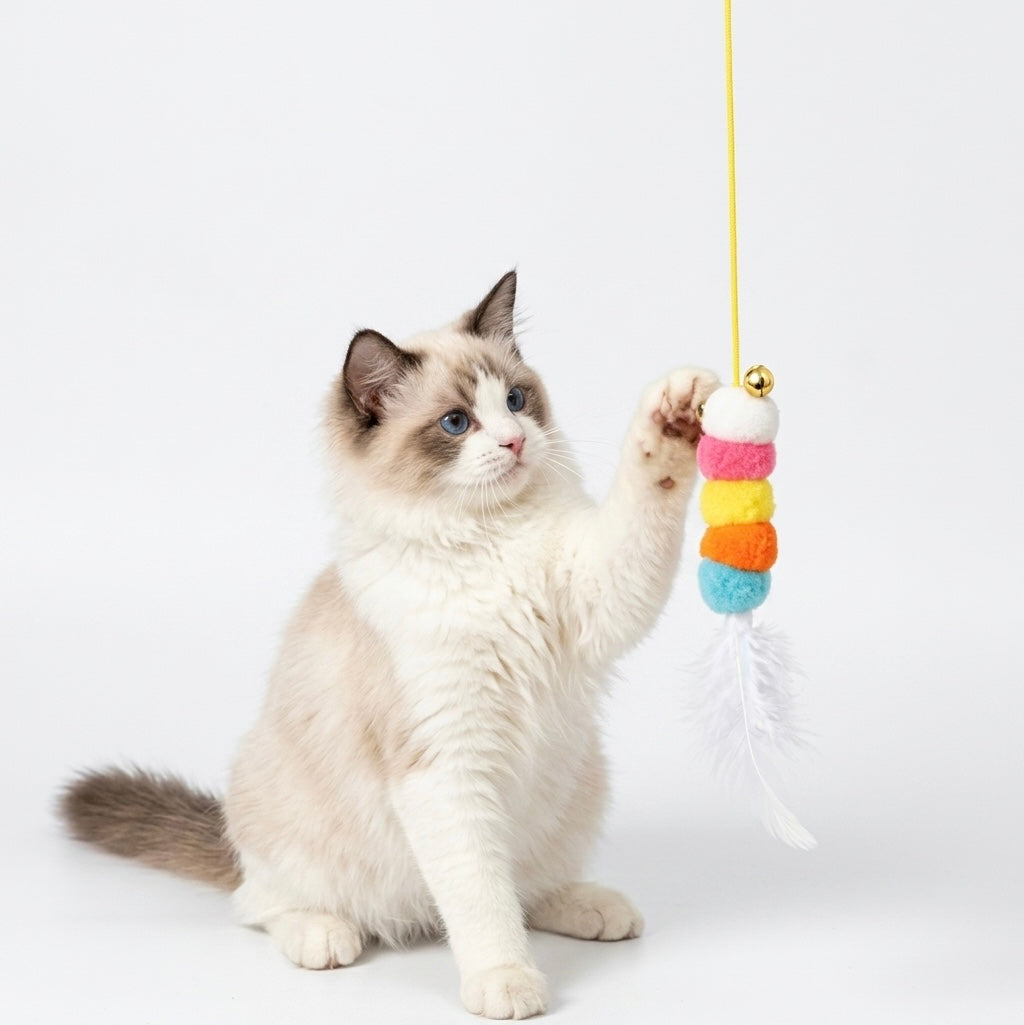 CatFisher