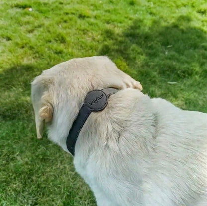 Trackpaw