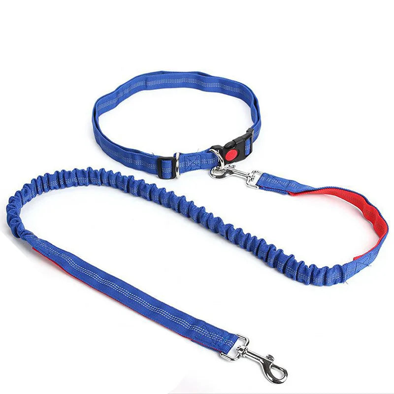 Flexi-Leash