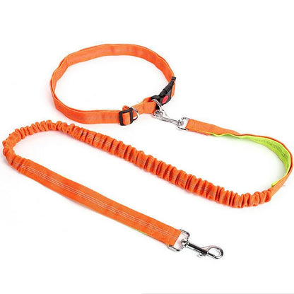 Flexi-Leash