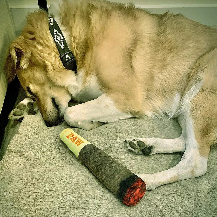 PAW-JOINT