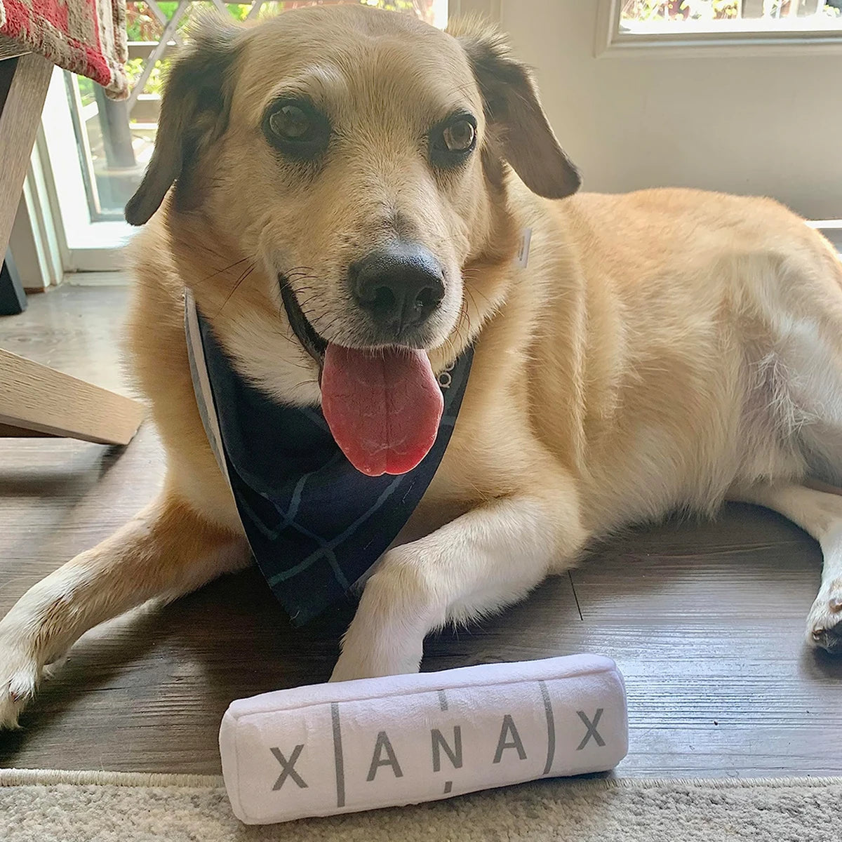 XAN-AX