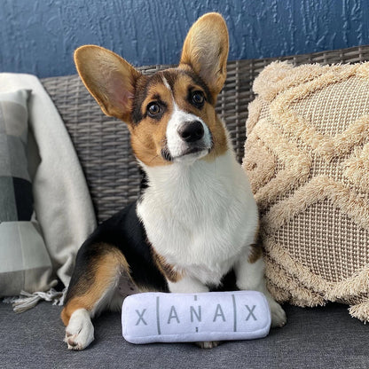 XAN-AX