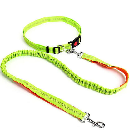 Flexi-Leash