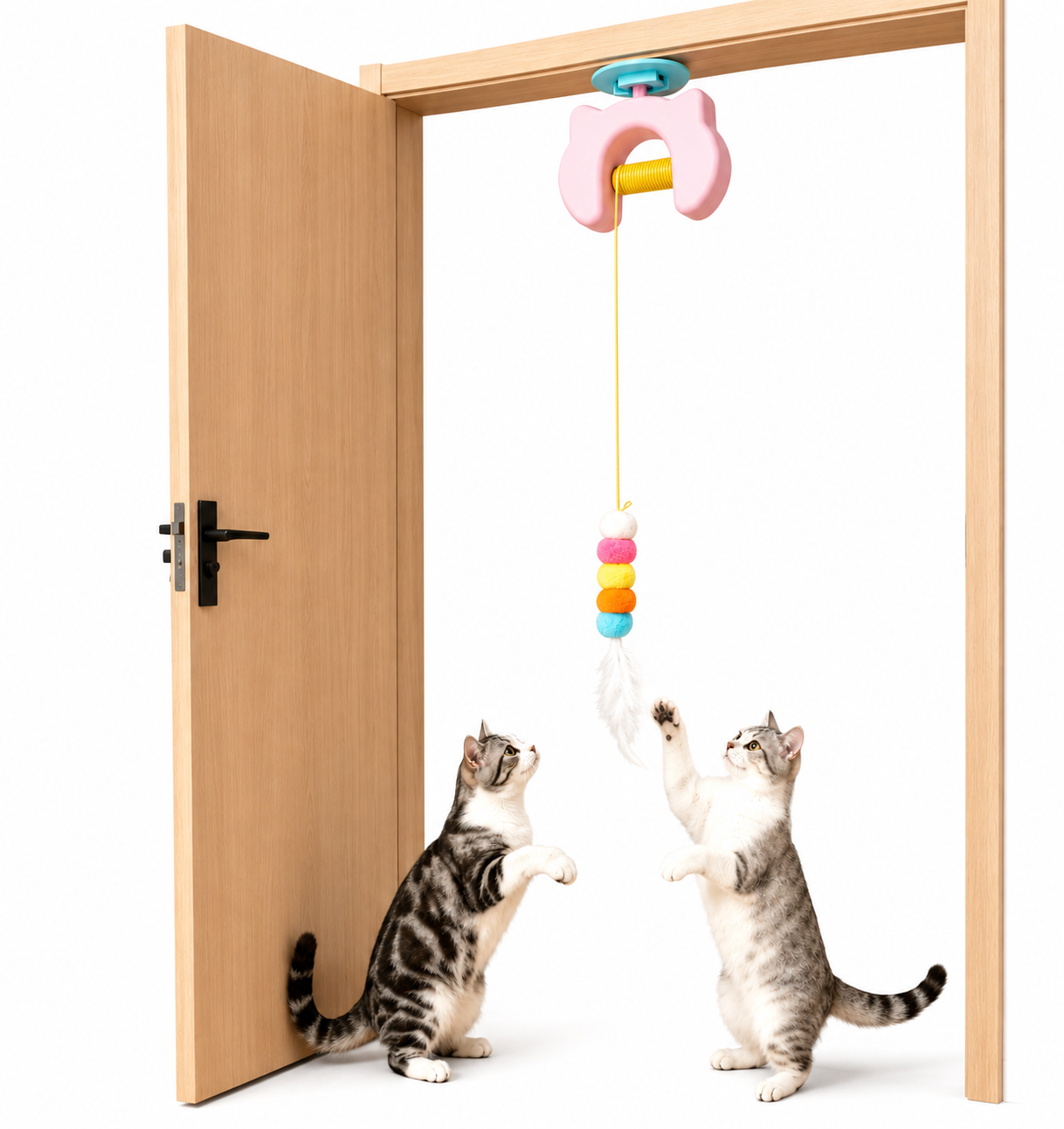 CatFisher